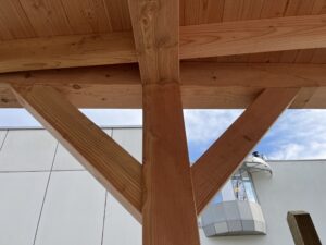 IMG_0399